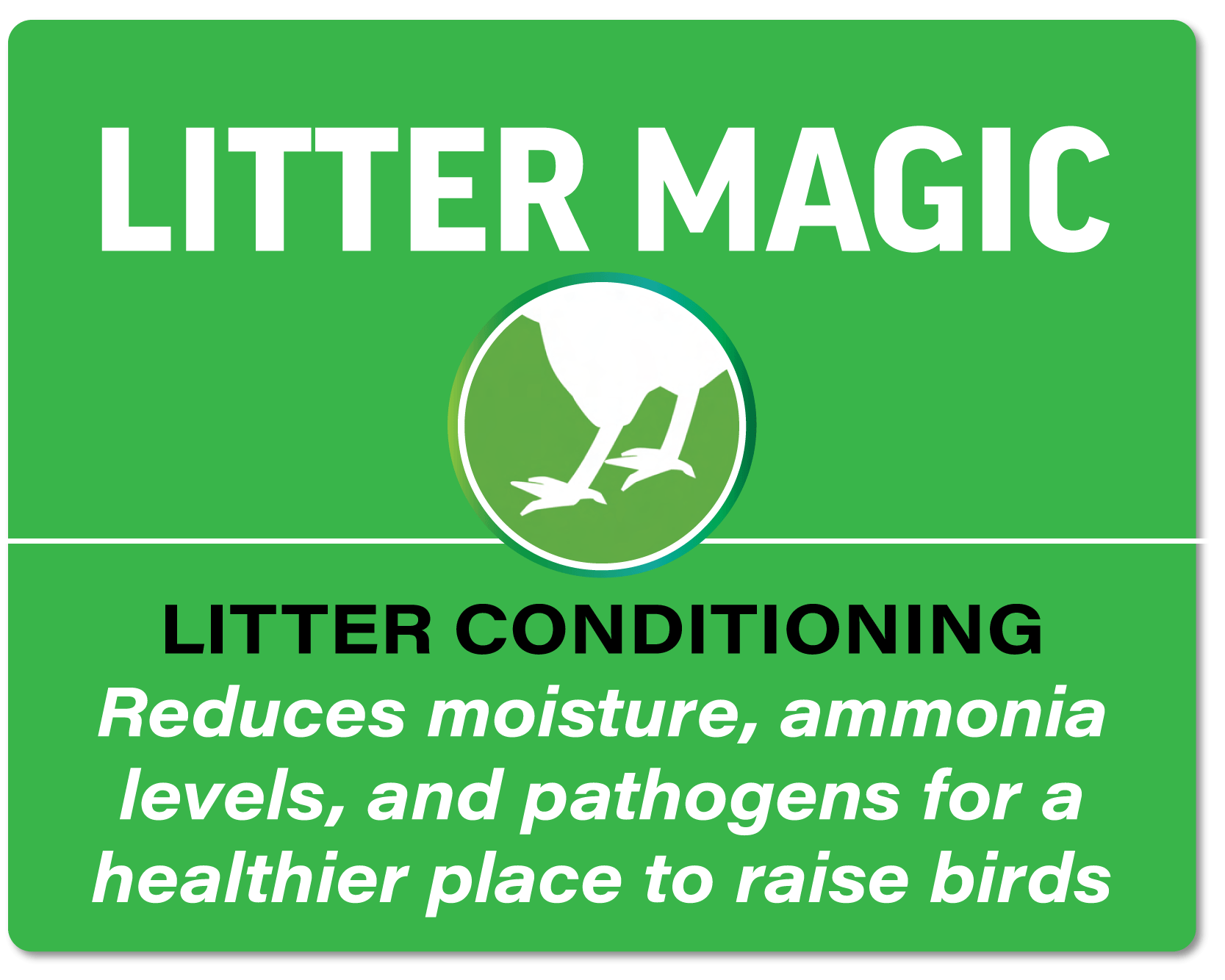 littermagicbutton