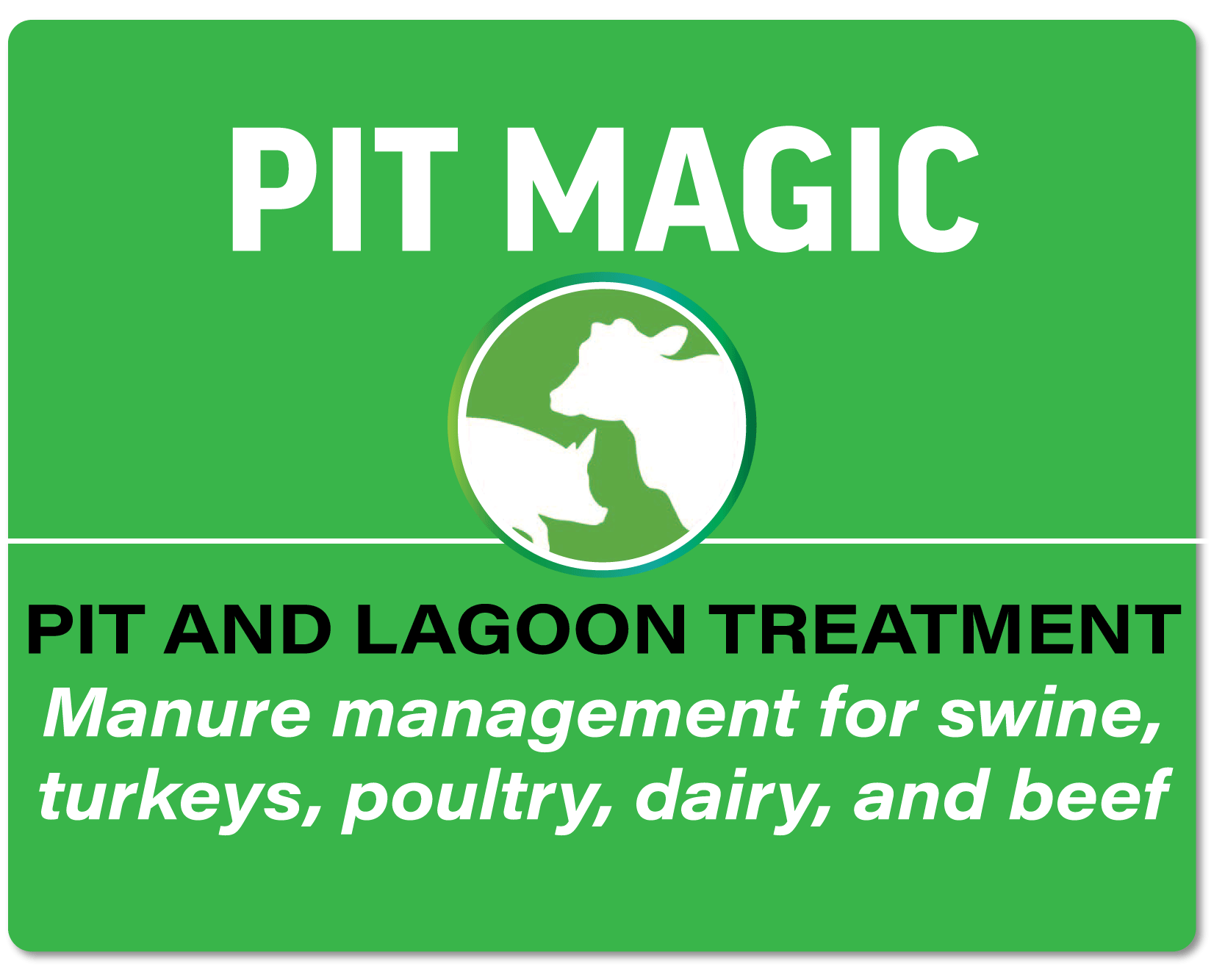 pitmagicbutton